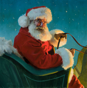 CE739 Christmas Flight