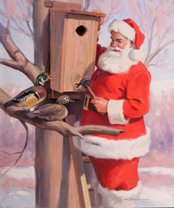 CE844 Wood Ducks - A New Home